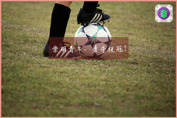 崇明青年，勇夺桂冠！